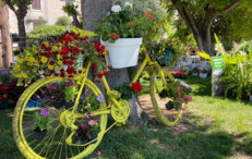 THE 25th FLOWER FESTIVAL