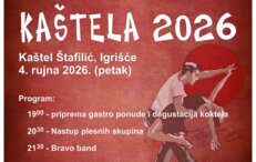 16. FESTIVAL ŠALŠE I SALSE